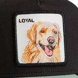 Gorrin The Loyal Dog – Gorra Americana Original