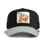 Gorrin The Loyal Dog – Gorra Americana Original
