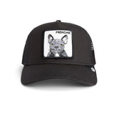🐶 Gorrin Frenchie Trucker – Gorra Americana Original