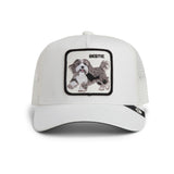 Gorra Goorin Bros Hollywood Rooster Mini Blanca | Bestie Dog Trucker