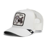 Gorra Goorin Bros Hollywood Rooster Mini Blanca | Bestie Dog Trucker