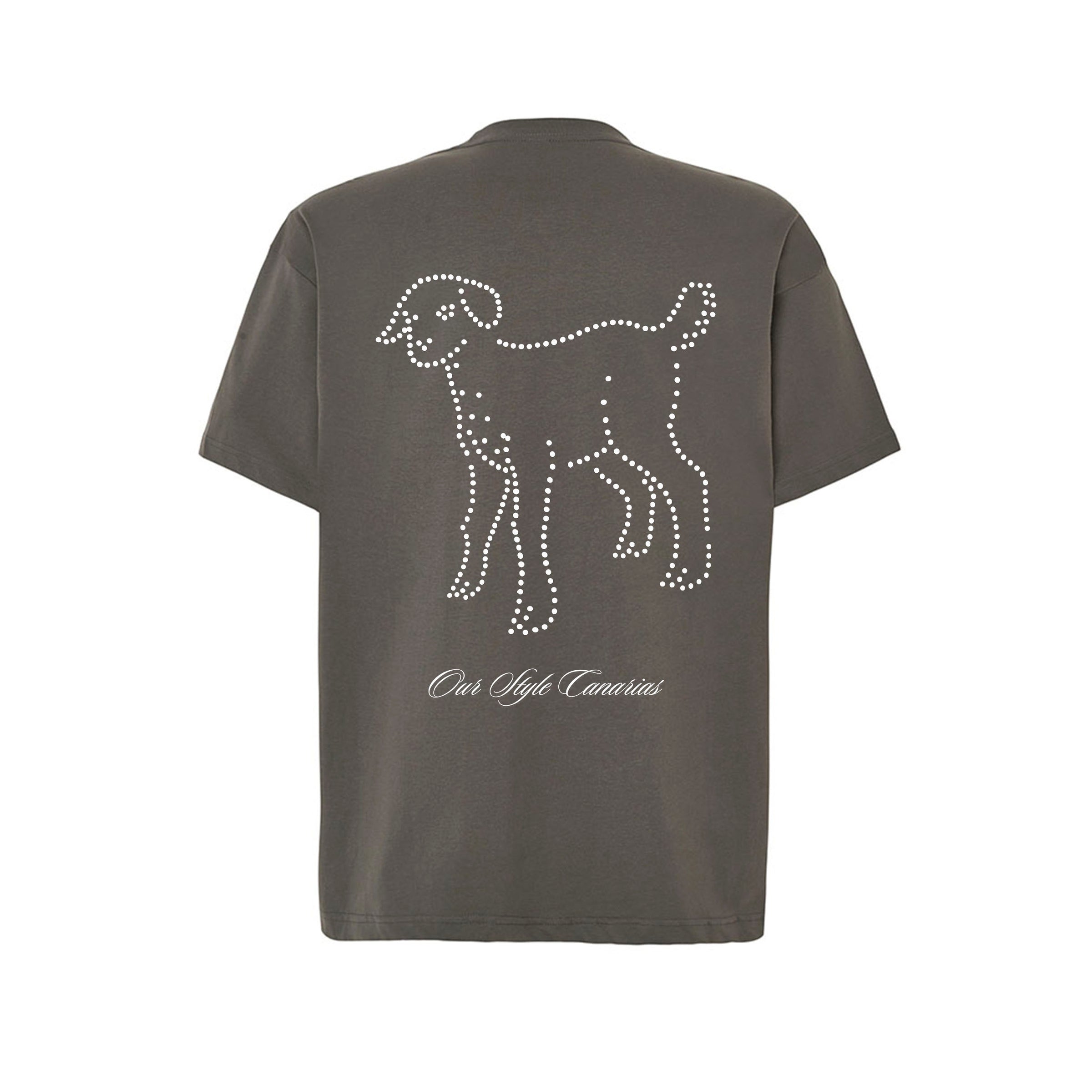 Camiseta Homenaje “Se me fue el Baifo” – Edición Especial Canarias - ourstyle.es